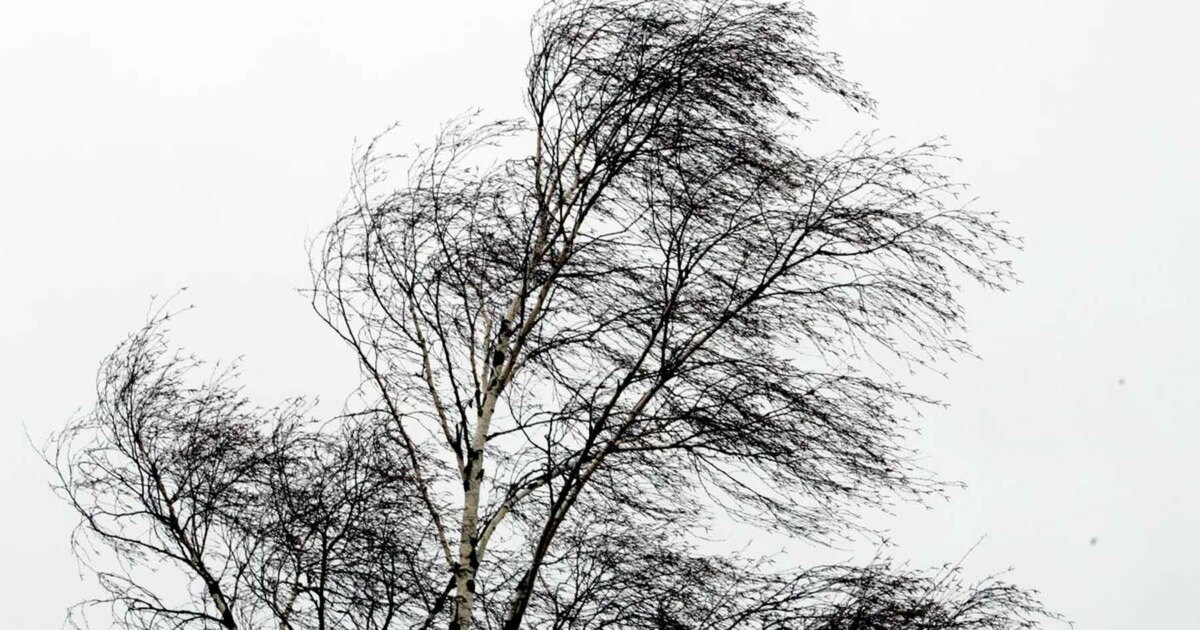    Из архива/ Фото: МЧС Санкт-Петербурга