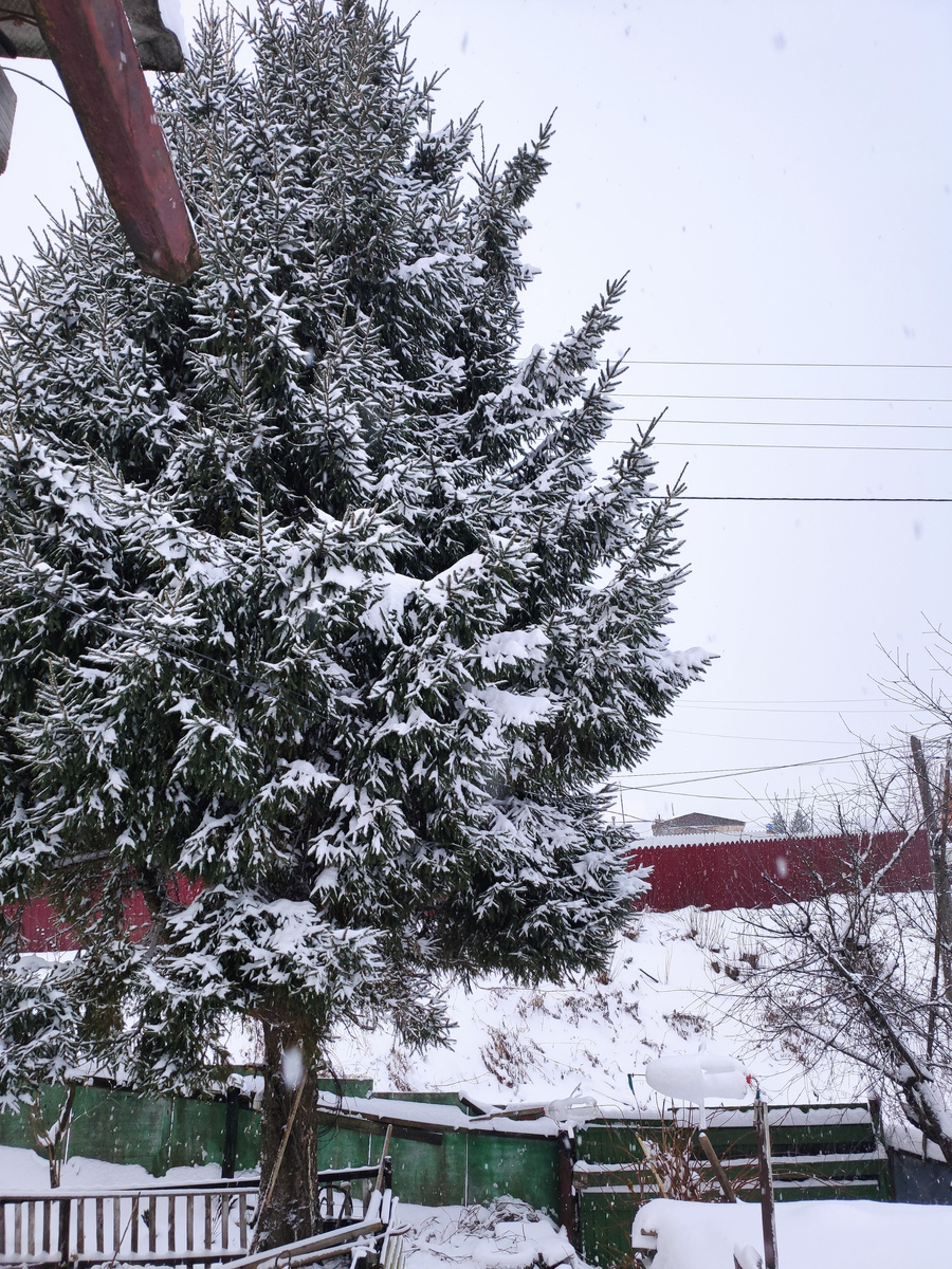 Декабрь, как он есть