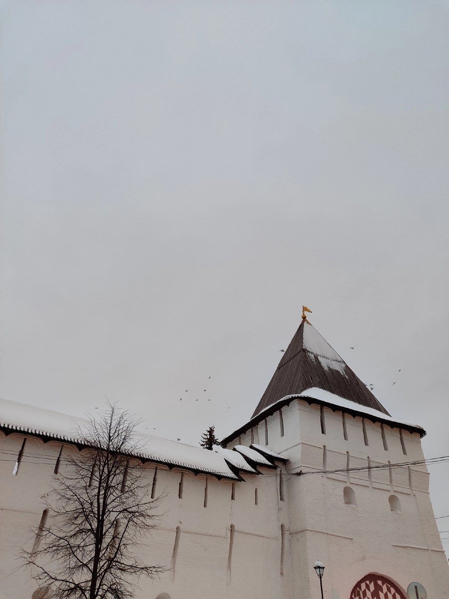 Фото автора. Ярославский кремль