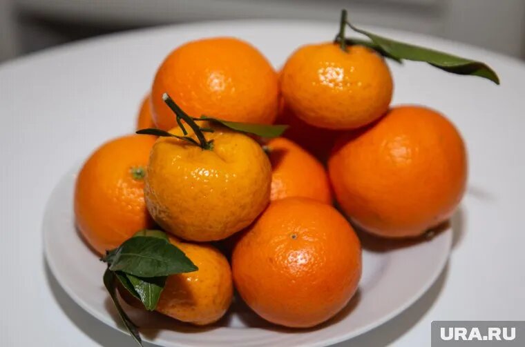 Ярко-оранжевая кожура — признак зрелости, но не всегда гарант сладости. Фото: Илья Московец © URA.RU