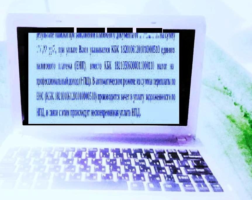 Фото автора.