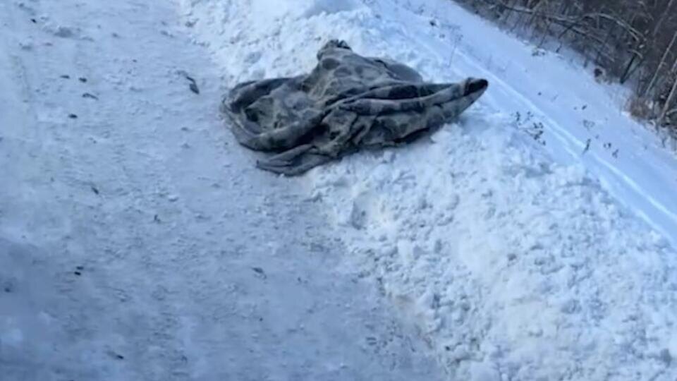 Фото: Скриншот видео