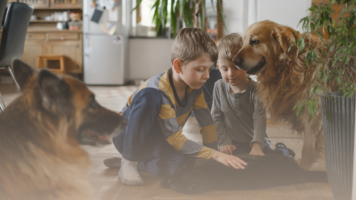 Межпоколенческие травмы: почему детям надо говорить правду