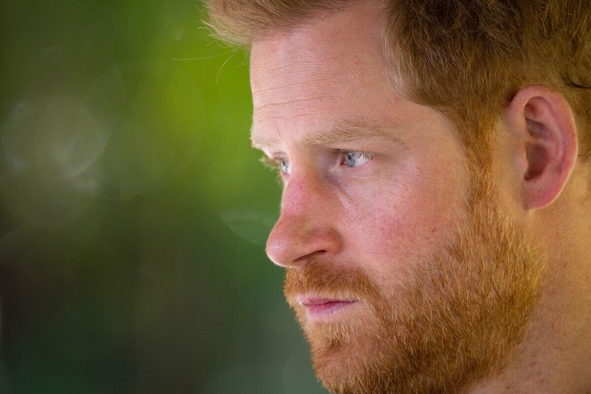 Фото Samir Hussein/WireImage via Getty Images