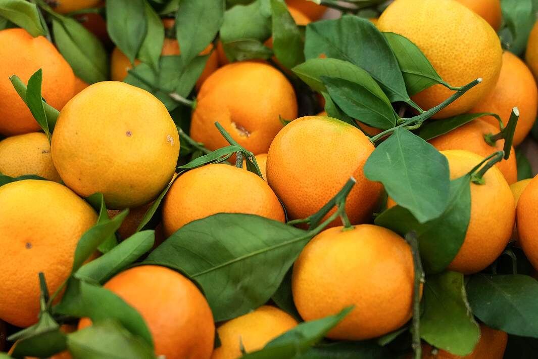 Фото: ИЗВЕСТИЯ/Дмитрий Коротаев