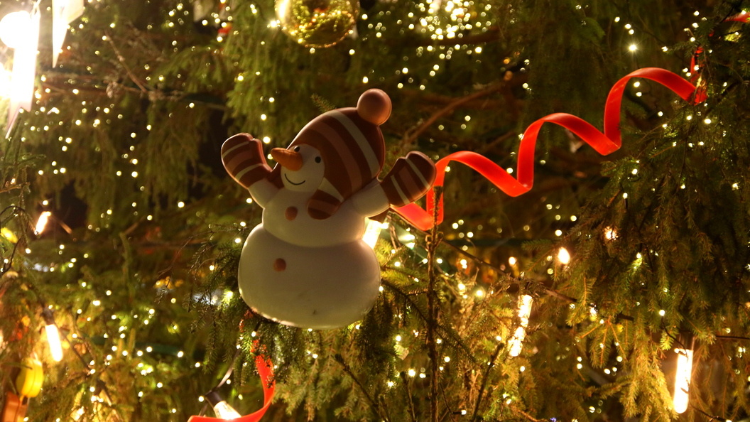    Фото: Maksim Konstantinov /Globallookpress/