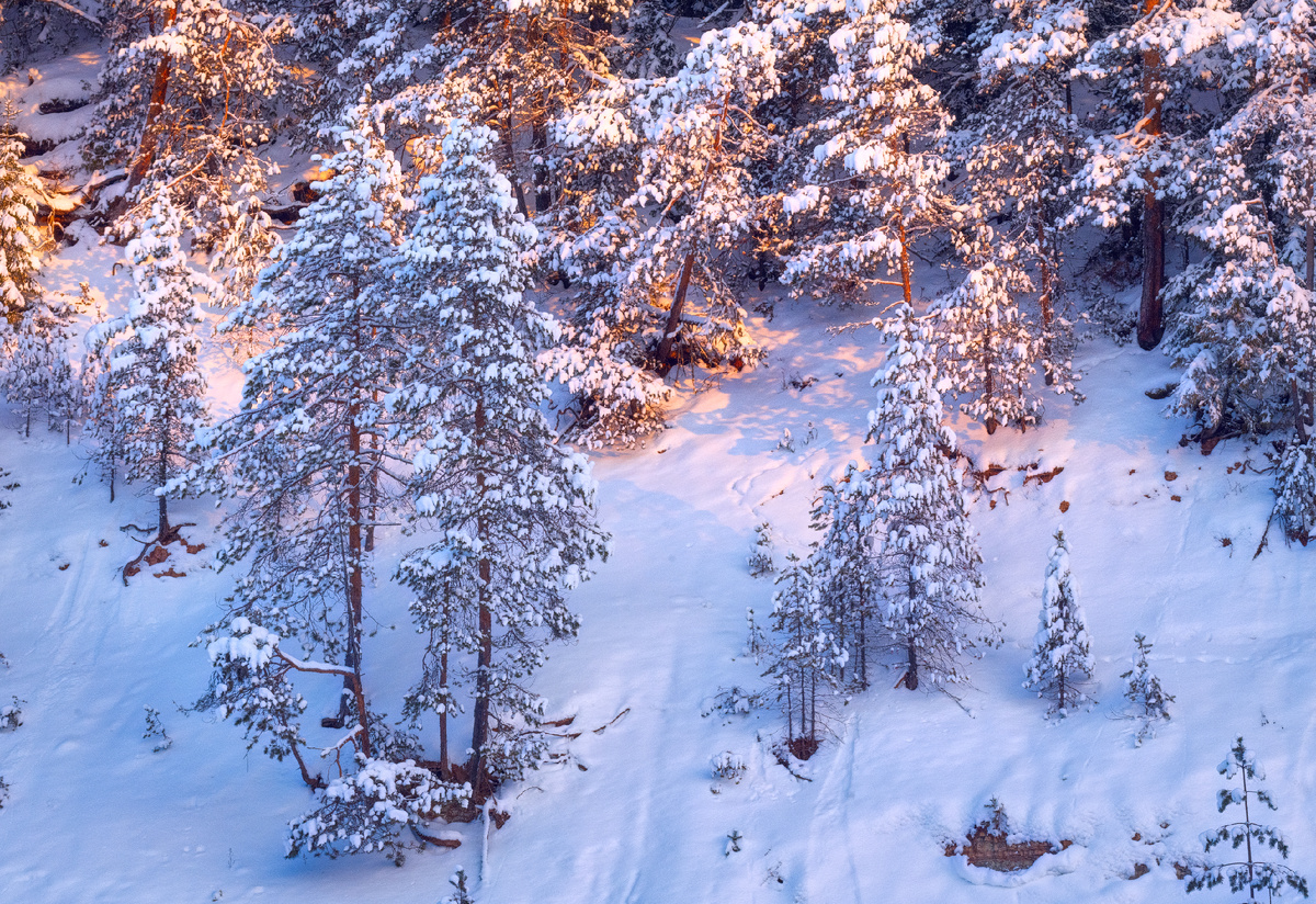 Фото Елены БЕЛОЗОРОВОЙ.