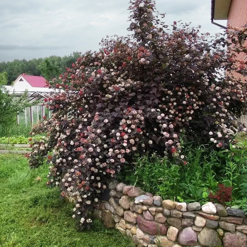 Листайте галерею