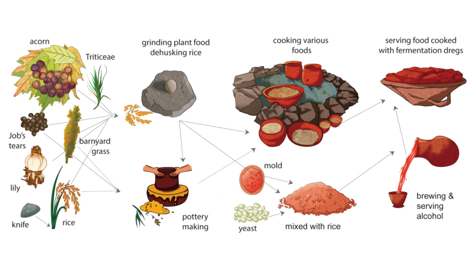   Li Lui et al. / Proceedings of the National Academy of Sciences, 2024
