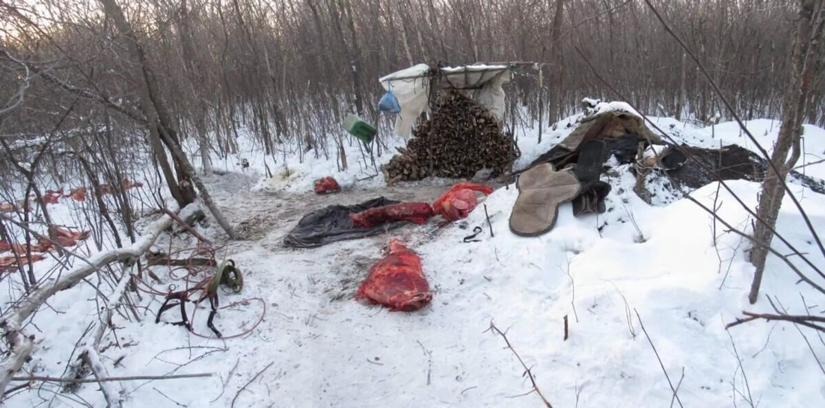 Преступник скрывался в землянке 