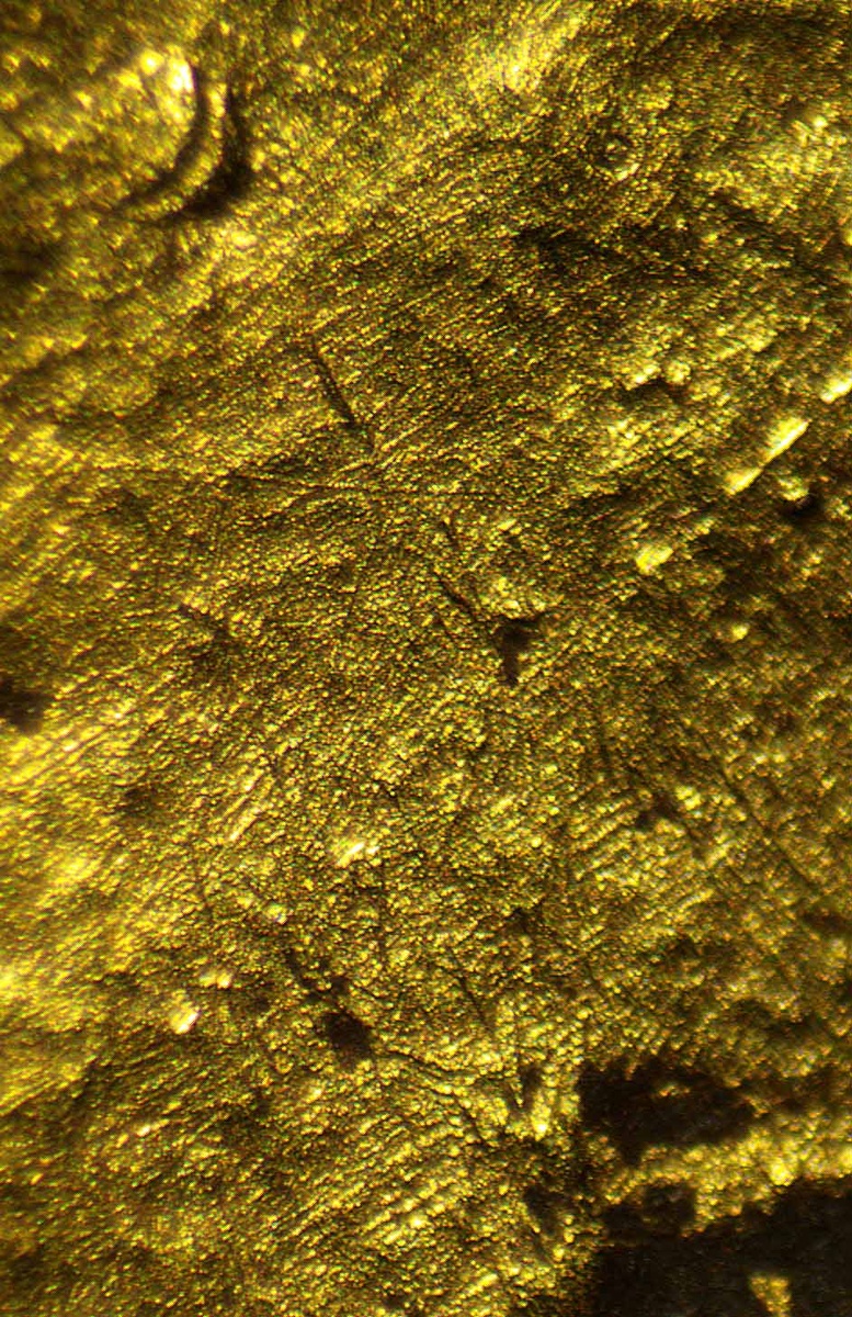 Участок растворённой поверхности реверса тетрастатера, с проявившейся субпараллельной слоистой микроструктурой из кристаллитов с развитием по ней поздних кристаллических дендритов гипергенного золота. Изображение получено с помощью бинокулярного микроскопа.