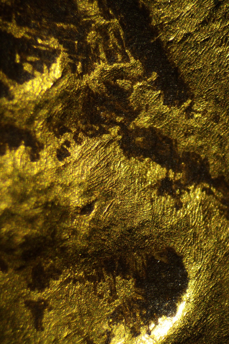 Участок поверхности реверса тетрастатера с проявленной естественным травлением микростуктурой сплава с игольчатыми кристаллитами, образующими решётчатые структуры. Изображение получено с использованием бинокулярного микроскопа.