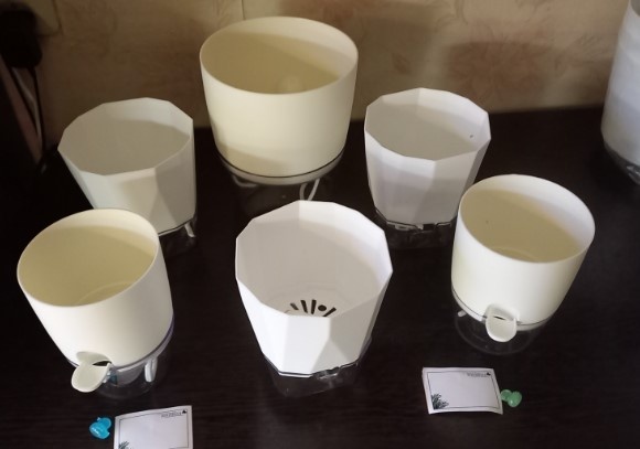 Целых 6 штук с автополивом купила! Все горршочки белого цвета.