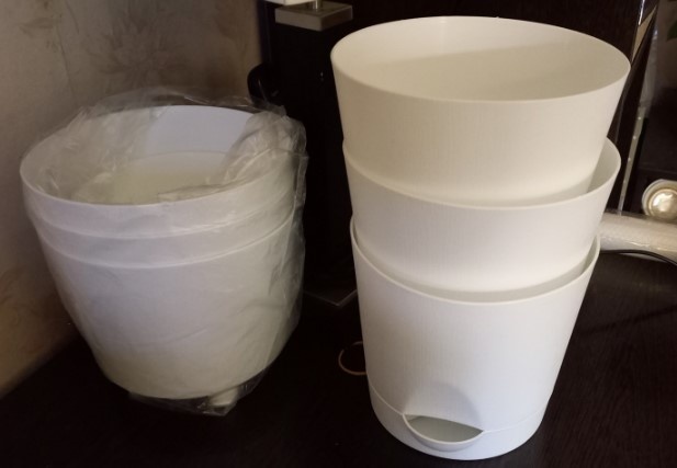 Эти 6 шт. с нижним поливом