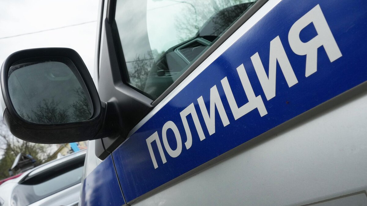    Фото: ИЗВЕСТИЯ/Дмитрий Коротаев