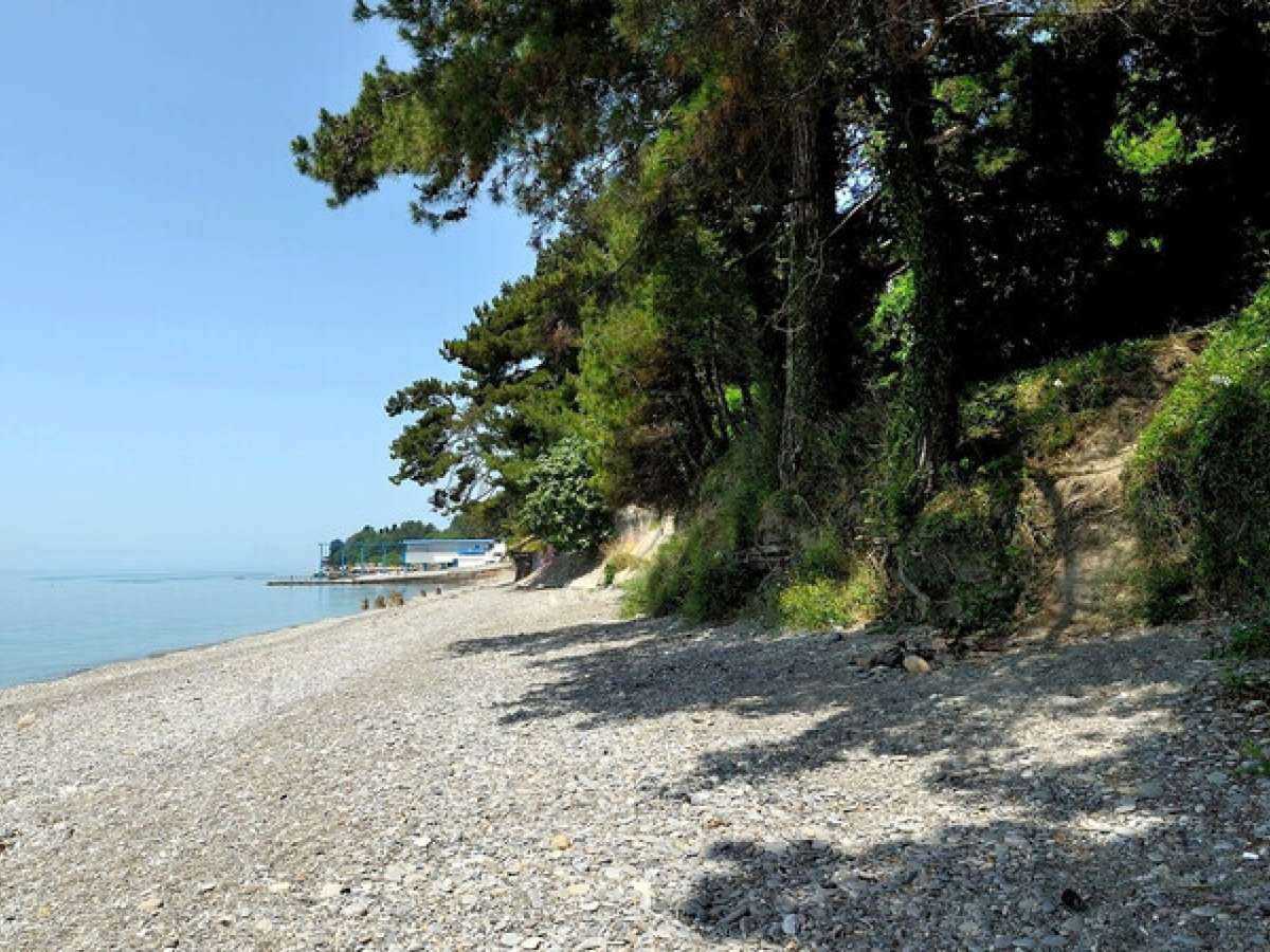 Фото: hartmann222