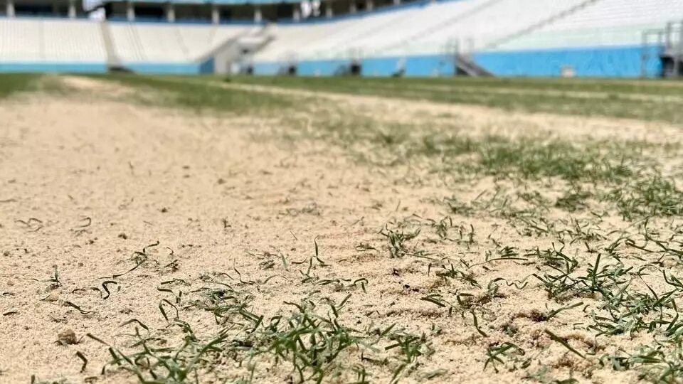     Источник: «Волгоград Арена»