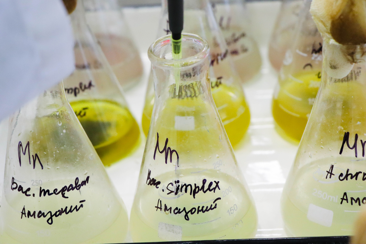    Фото: пресс-служба ОмГТУ