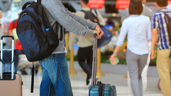    Россия включила еще 11 стран в перечень для получения единой электронной визы Виктория Шварц