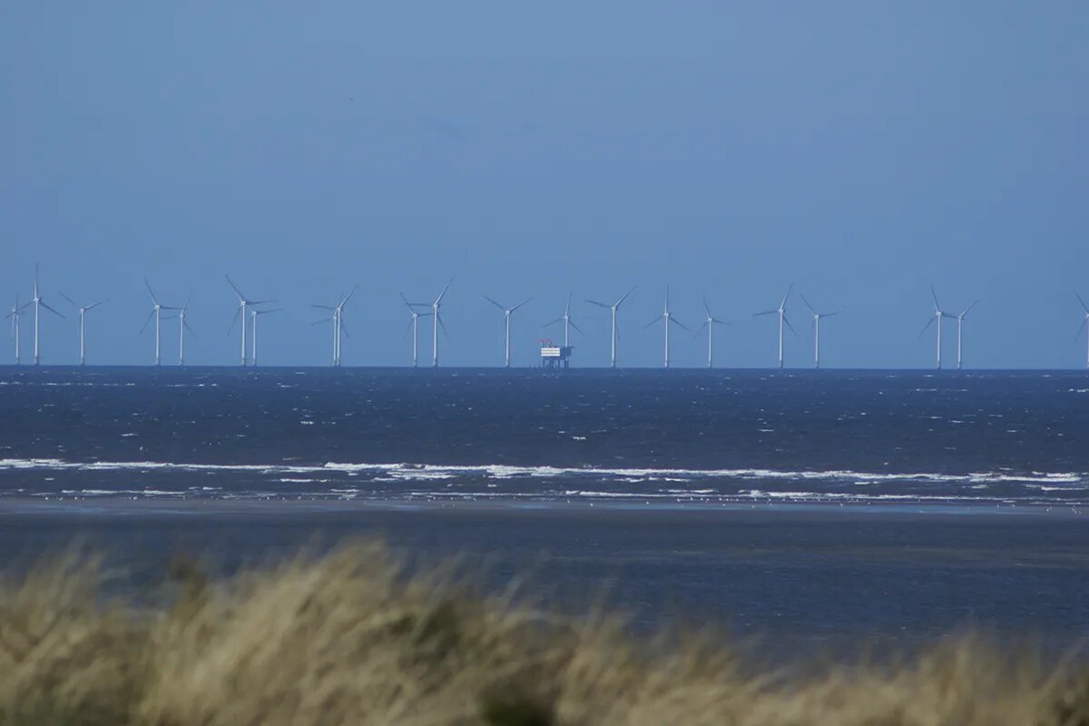 Вид на турбины ВЭС Хорнс-Риф, Дания. © wikipedia.org