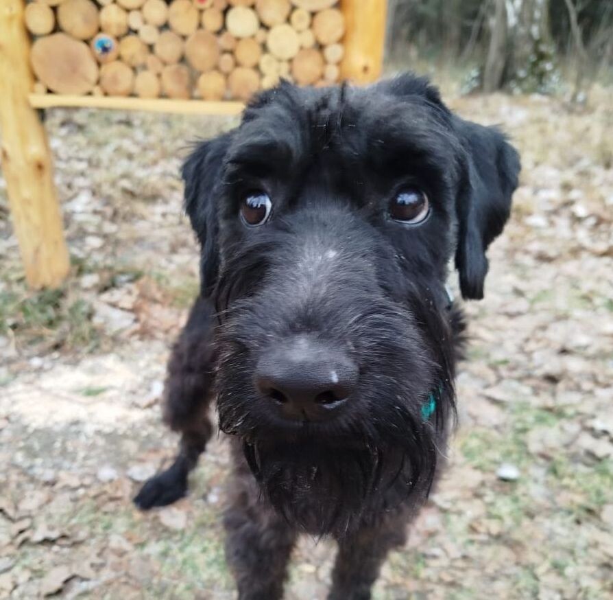 Найс глазастенький