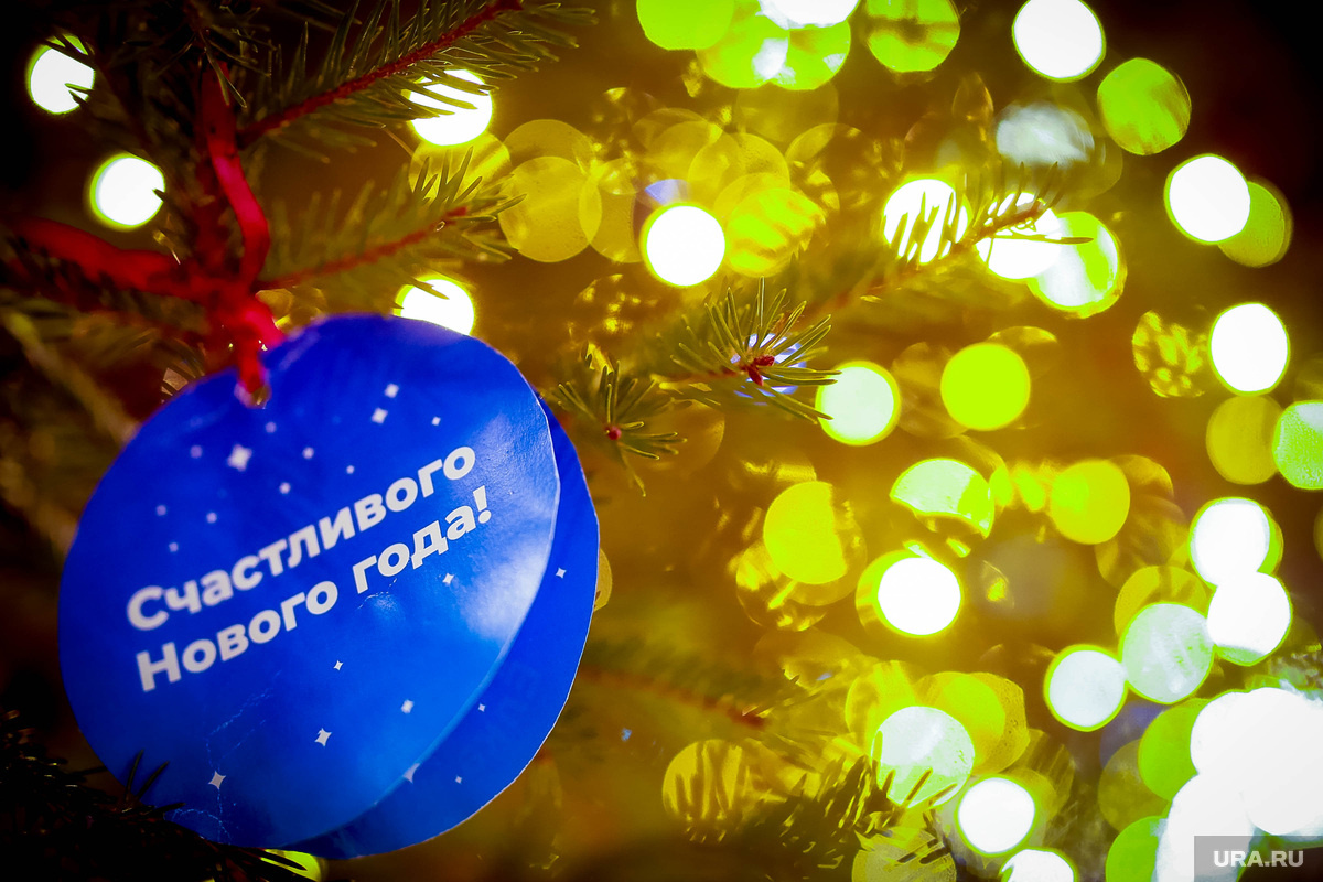 Фото: Денис Моргунов © URA.RU