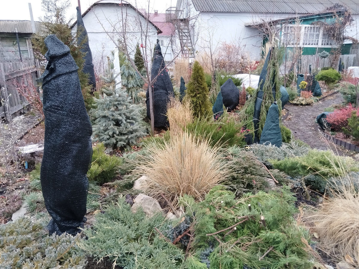 10 декабря - сезон 2024 закрыт официально