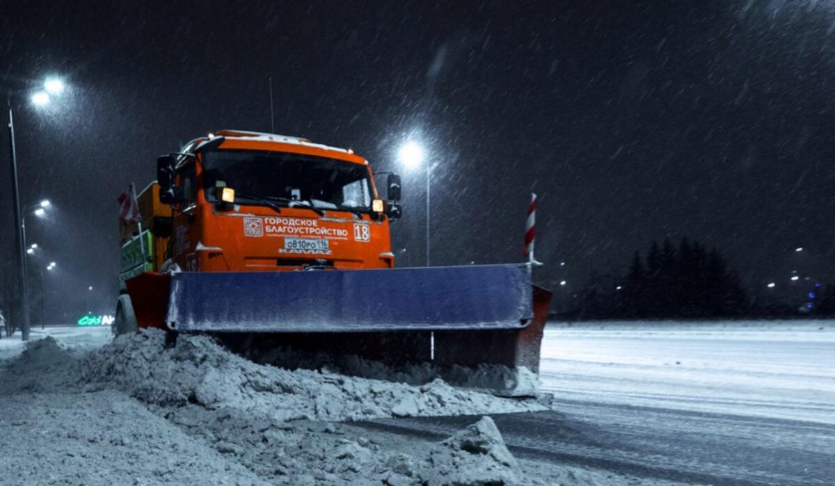     Очитка дороги. Источник: kzn.ru Автор фото: Марат Мигунов
