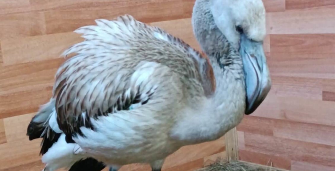    Фото: Росприроднадзор