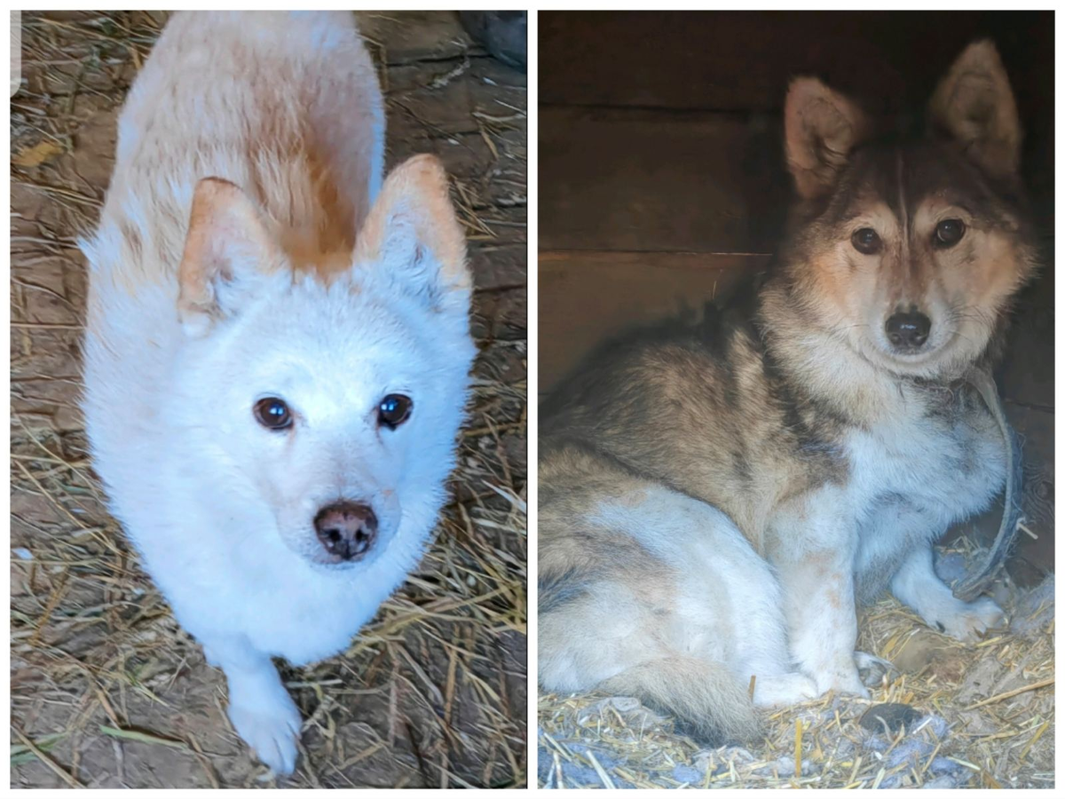 Сёма и Чита