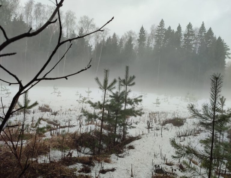    Фото: www.mosregion.info/ Оксана Герасимова Екатерина Шахнина