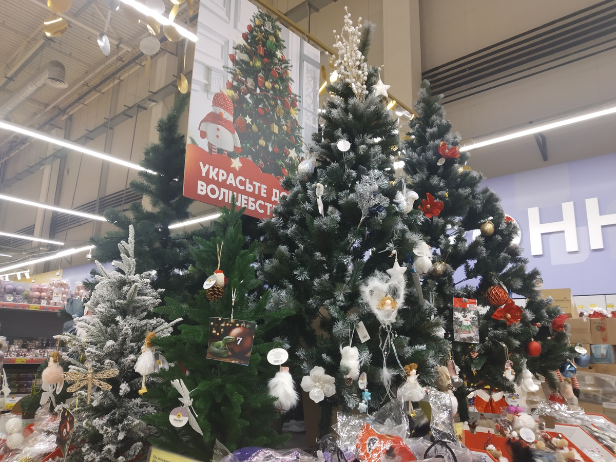 Анапа. Магазин Магнит Экстра. Витрина с напольными ёлками. (фото автора публикации)