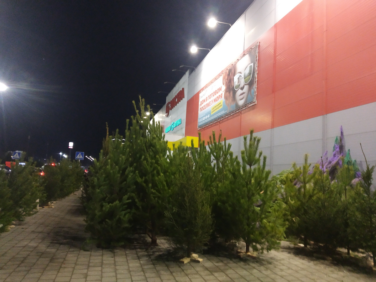 Ёлочный базар у магазина Магнит Экстра (фото автора публикации 1 из 3)
