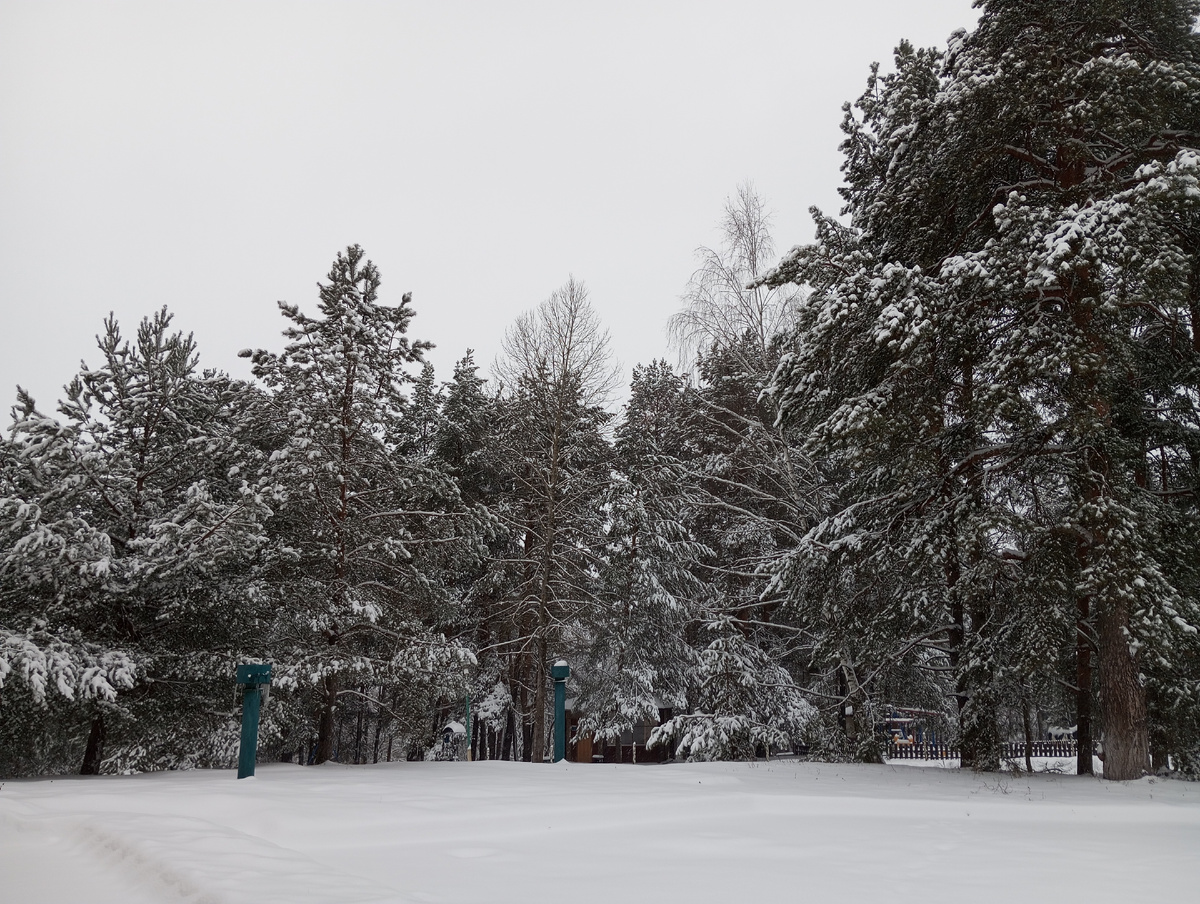 Зимняя сказка ❄️