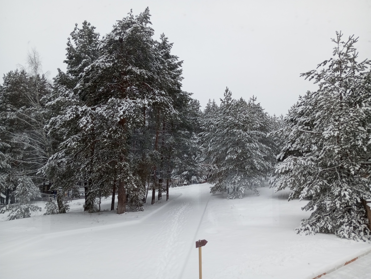 Территория пансионата