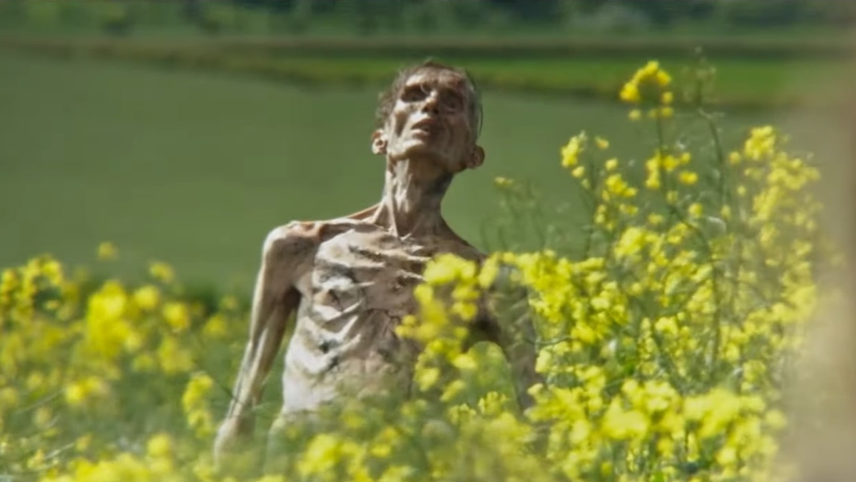 «28 лет спустя»