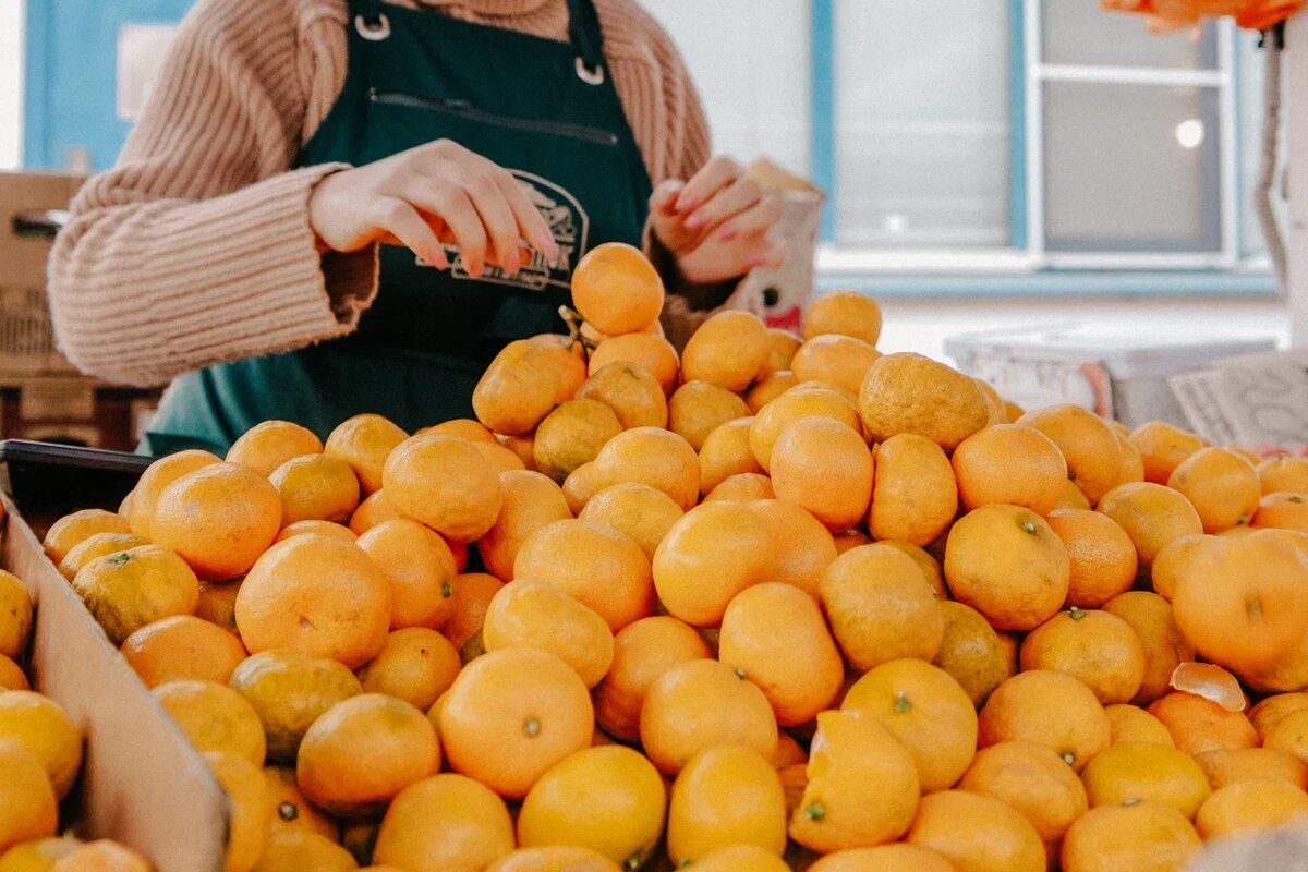 Фото: Эльвира Мясищева