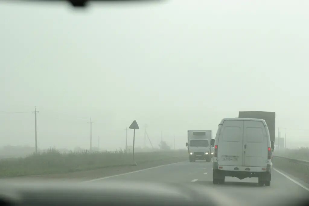 Фото: Baltphoto/Елена Яковлева