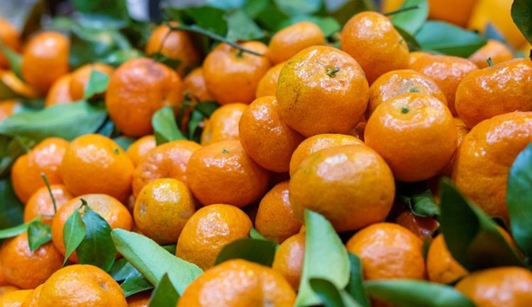    Сколько можно есть мандаринов в день взрослым и детям без вреда для здоровья