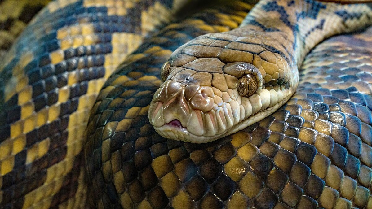 Фото: unsplash.com