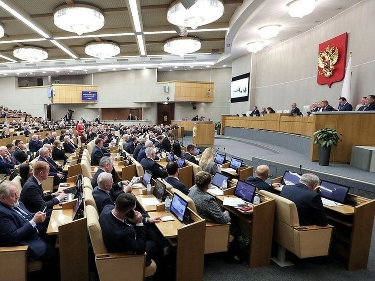 Фото: duma.gov.ru