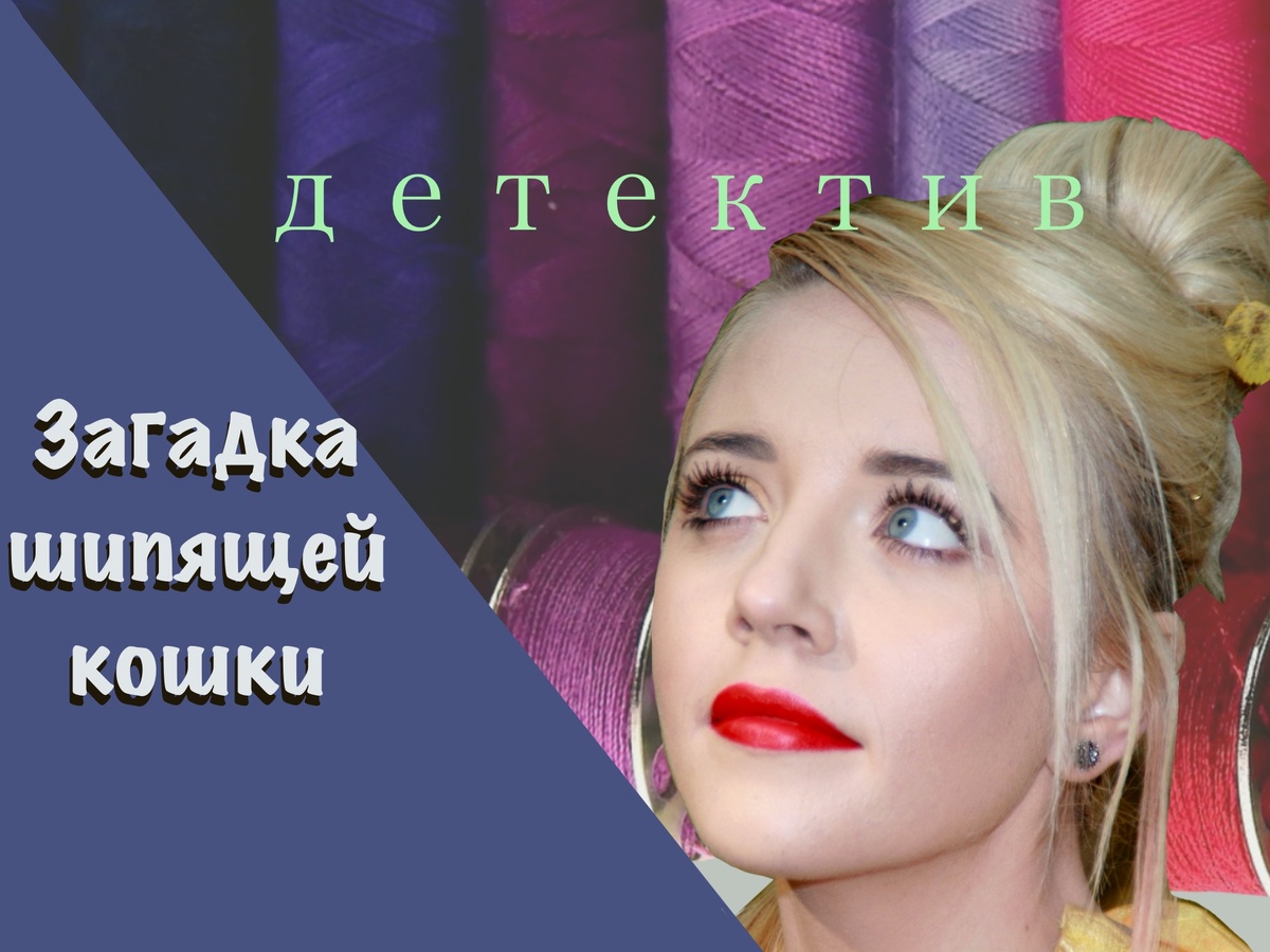 Девятый детектив из серии "Приключения писателя Антона Баулина"