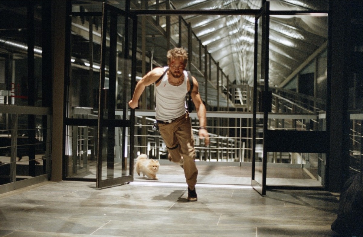 Я Дарья Тодорова. Выпускница МГУ, юрист, руководитель. Это мой блог.