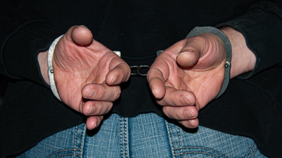    Фото: Svetlana Vozmilova/globallookpress.com