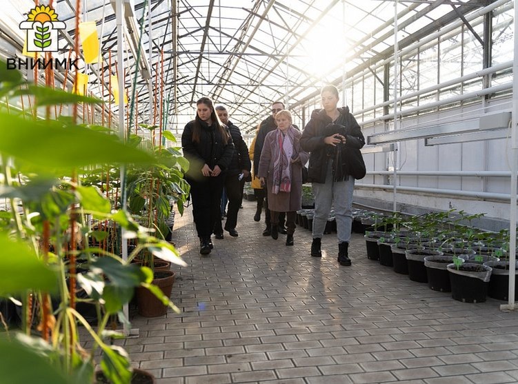    Делегация из Воронежского ГАУ посетила ВНИИМК для ознакомления с современными методами селекции растений