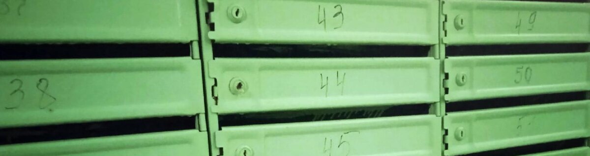    Фото: Сергей Егоров