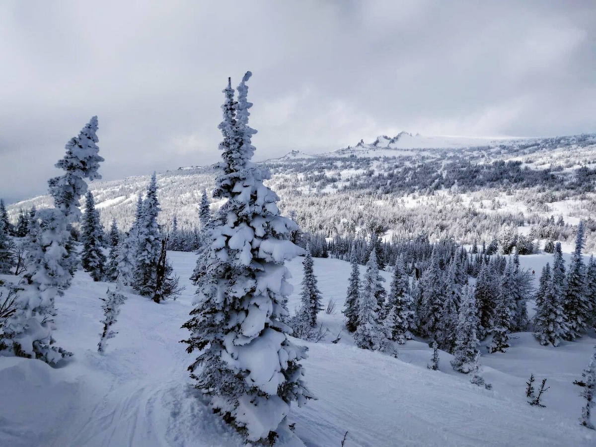 Самые холодные месяцы — январь и февраль. В среднем погода держится на уровне от −15 до −20 ℃. По вечерам морозы могут достигать −25 ℃. Холода не останавливают лыжников, ведь в этот период качество снега самое высокое. Фото: Вася Сарафанов / Яндекс Карты
