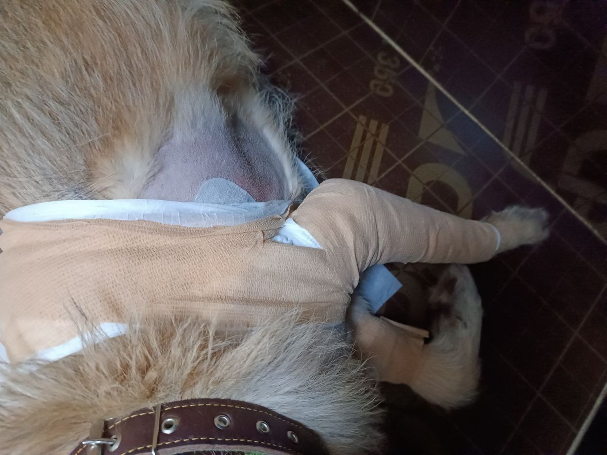 Операция позади .