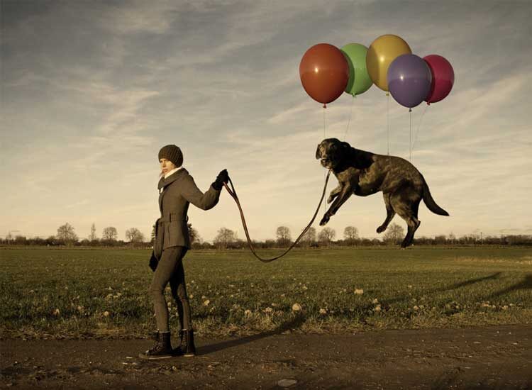 Ленивый пес от Erik Johansson https://www.erikjo.com/