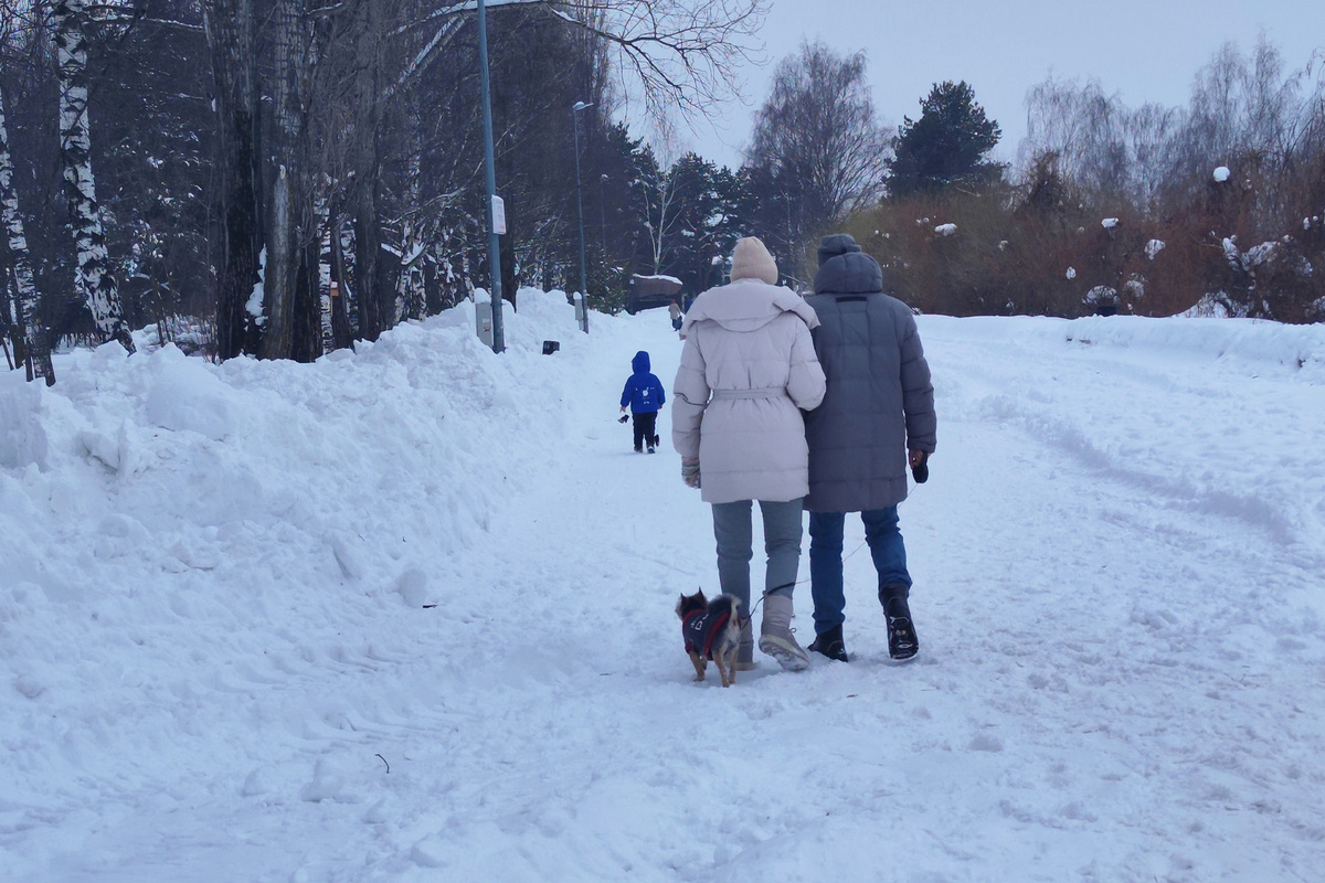 Изменения в законе «Об ответственном обращении с животными» начнут действовать с 1 января 2026 года.  Фото: Фото: ФедералПресс / Ксения Кобалия